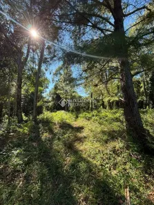 Imóvel Comercial à venda, 10000m² no Carniel, Gramado