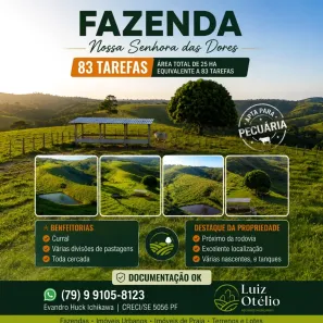 Fazenda/Sítio à venda, 251075m² no Centro, Nossa Senhora das Dores