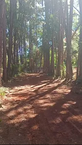 Lote/Terreno para alugar, 5500m² no Jundiaí Mirim, Jundiaí