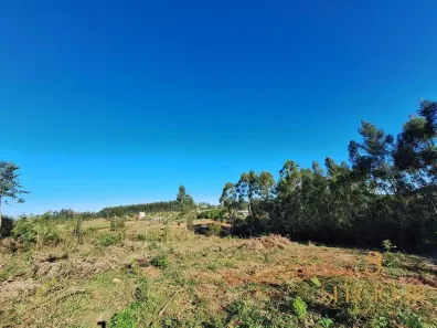 Fazenda/Sítio à venda, 20000m² no , Triunfo