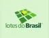 Miniatura da foto de Lotes do Brasil