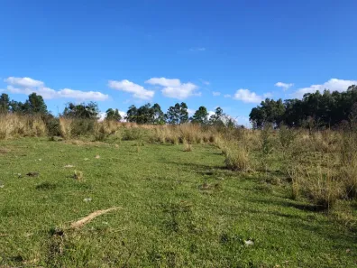 Fazenda/Sítio à venda, 24200m² no , Porangaba