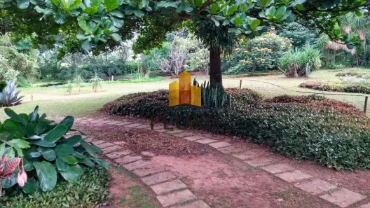 Fazenda/Sítio com 3 Quartos à venda, 230m² no Área Rural de Jacuba, Arealva