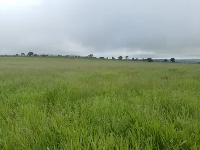 Fazenda/Sítio à venda, 3000000m² no Centro, Rio Verde de Mato Grosso
