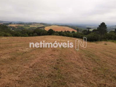 Fazenda/Sítio com 2 Quartos à venda, 270000m² no Chácara Rincão, Cotia