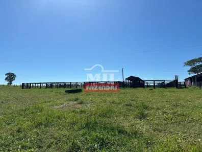Fazenda/Sítio à venda, 500m² no , General Carneiro