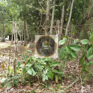 Lote/Terreno à venda, 2960m² no Aldeia dos Camarás, Camaragibe