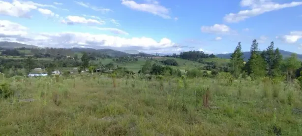 Fazenda/Sítio à venda, 5000m² no Rolante, Rolante