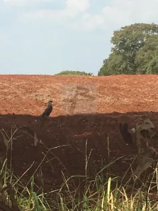 Lote/Terreno à venda, 1m² no Jardim Tokio, Tatuí