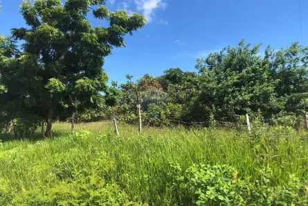 Lote/Terreno à venda, 1500m² no Caiçara, Cruz
