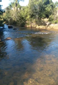 Fazenda/Sítio à venda no Buritizeiro, Buritizeiro