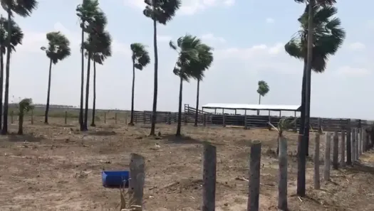 Fazenda/Sítio à venda, 16700000m² no Área Rural de Corumbá, Corumbá