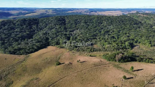 Fazenda/Sítio à venda, 2600000m² no Centro, São Francisco de Paula