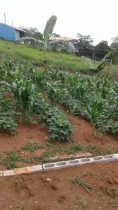 Lote/Terreno à venda, 1941m² no Centro, Taubaté