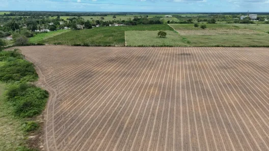 Fazenda/Sítio com 1 Quarto à venda, 420000m² no , Macaíba