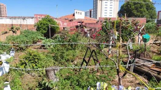Lote/Terreno à venda, 242m² no Vila Aviação, Bauru