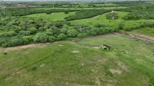 Fazenda/Sítio com 2 Quartos à venda, 1500000m² no , Santo Antônio