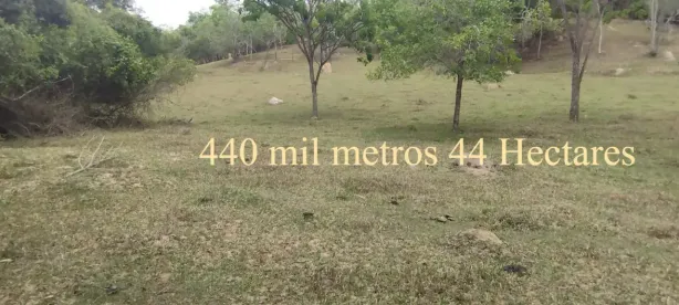 Fazenda/Sítio à venda, 440000m² no , Cláudio