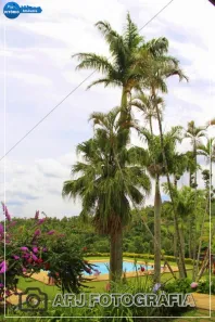 Fazenda/Sítio com 3 Quartos à venda, 120000m² no Sorocamirim (Canguera), São Roque