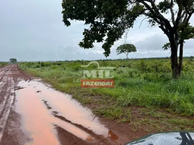 Fazenda/Sítio à venda, 500m² no , Silvanópolis