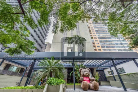 Sala Comercial para alugar, 266m² no Cerqueira César, São Paulo