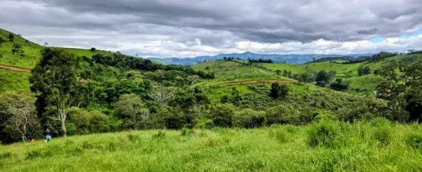 Lote/Terreno à venda, 5000m² no , Cambuí