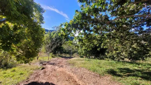 Lote/Terreno à venda, 15300m² no Planície Alta, Guabiruba