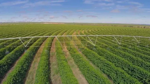 Fazenda/Sítio com 10 Quartos à venda, 20500m² no Centro, Buritizeiro