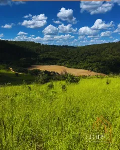 Lote/Terreno à venda, 600m² no Jundiaizinho (Terra Preta), Mairiporã