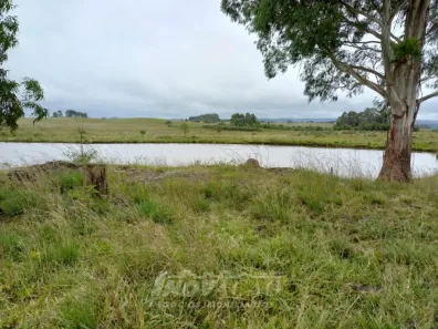 Fazenda/Sítio com 3 Quartos à venda, 30000m² no Interior, Jaquirana