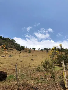 Lote/Terreno à venda, 121000m² no , Gonçalves