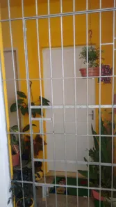 Apartamento com 3 Quartos para alugar, 74m² no Macaúba, Teresina