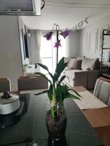 Apartamento com 3 Quartos à venda, 70m² no Jardim Tamoio, Jundiaí