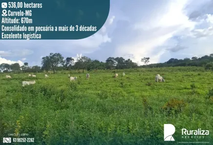 Fazenda/Sítio à venda, 536m² no Área Rural de Curvelo, Curvelo