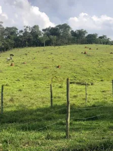 Fazenda/Sítio com 2 Quartos à venda, 120m² no , São Luiz do Paraitinga