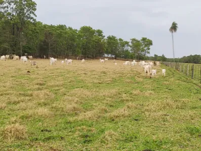 Fazenda/Sítio à venda no , Araguainha