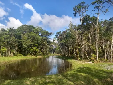 Lote/Terreno à venda, 1783m² no Vila da Glória, São Francisco do Sul