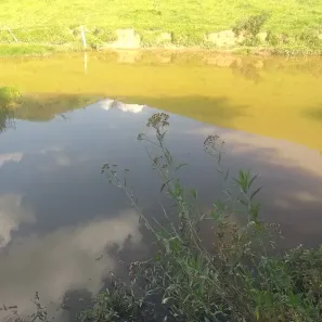 Fazenda/Sítio à venda, 242000m² no Área Rural de Amparo, Amparo