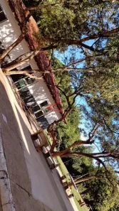 Apartamento com 2 Quartos à venda, 40m² no Residencial Parque Colina Verde, Bauru