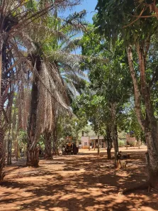 Fazenda/Sítio à venda, 290000m² no Vila Vicentina, Brasília