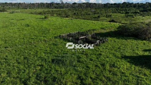 Fazenda/Sítio com 5 Quartos à venda, 1548800m² no Mato Grosso, Porto Velho