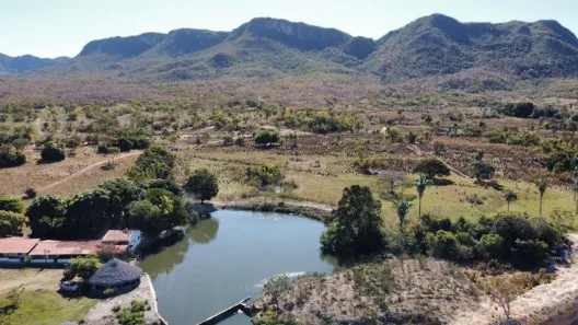 Fazenda/Sítio à venda, 13624600m² no Centro, Monte Alegre de Goiás