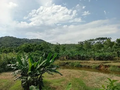 Fazenda/Sítio à venda, 208120000m² no Guaraqueçaba, Guaraqueçaba
