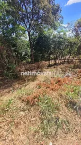 Lote/Terreno à venda, 1147m² no Vale do Tamanduá, Santa Luzia