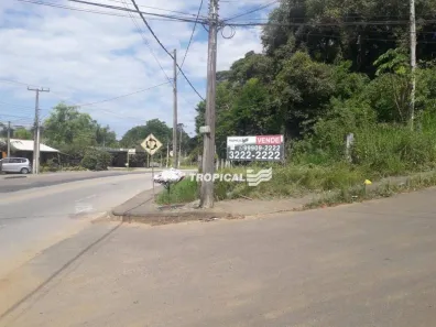 Lote/Terreno à venda, 1998m² no Salto Weissbach, Blumenau