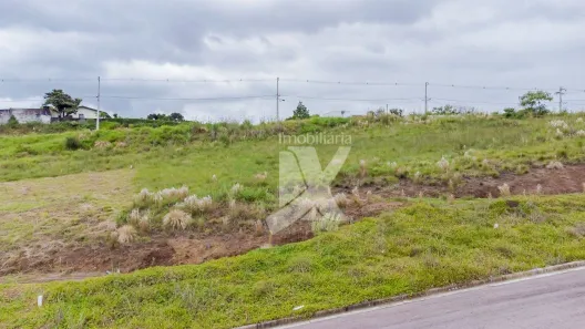 Lote/Terreno à venda, 363m² no Jardim Orestes Thá, Quatro Barras