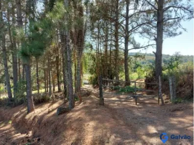 Fazenda/Sítio com 2 Quartos à venda, 55769m² no Pitangal, Jarinu