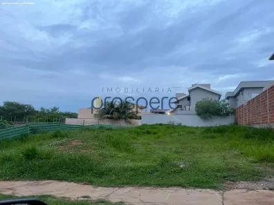 Lote/Terreno à venda, 443m² no Residencial Terra Nova, Presidente Prudente