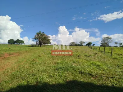 Fazenda/Sítio à venda, 1m² no Residencial Luiz Moreira de Melo, Caturaí