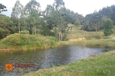 Lote/Terreno à venda, 35000m² no , Rio Rufino